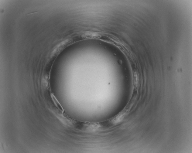 X0000076430621200610202246