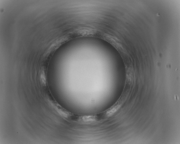 X0000076430622200610202246