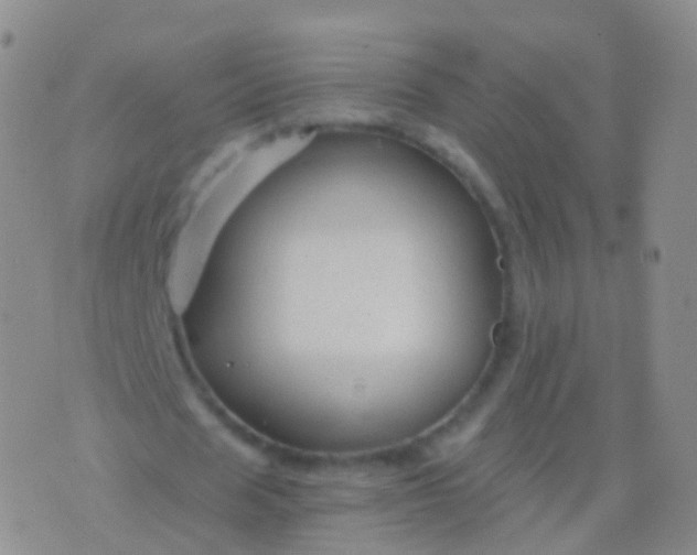 X0000076430625200610202245