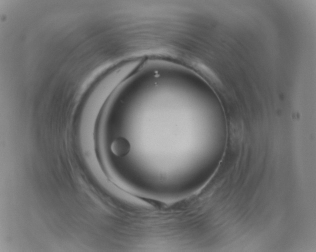 X0000076430628200610202246