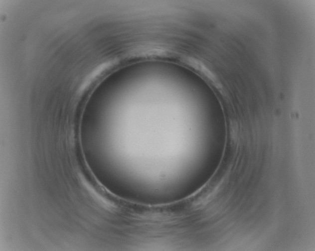 X0000076430629200610202246