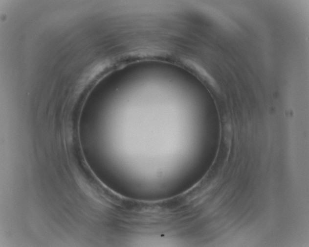 X0000076430631200610202246