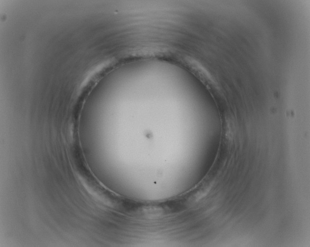 X0000076430636200610202246