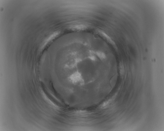 X0000076430637200610202246