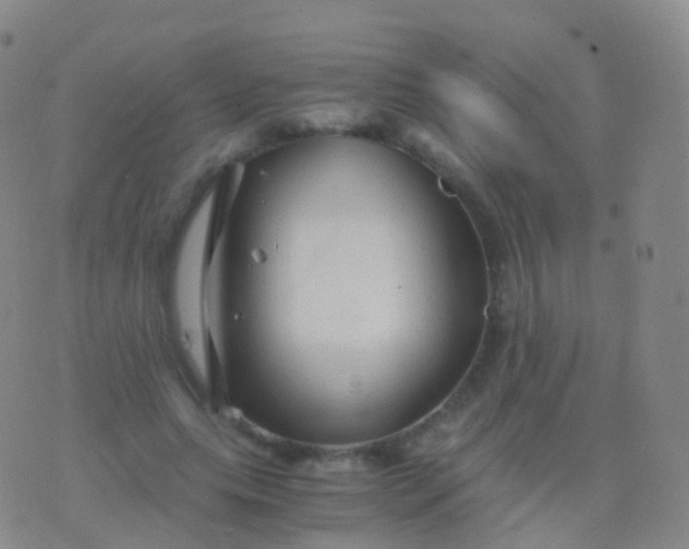 X0000076430639200610202246