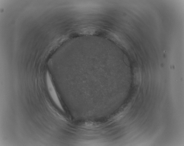 X0000076430641200610202246