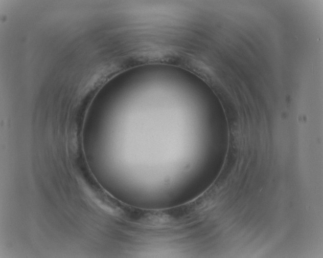 X0000076430642200610202246