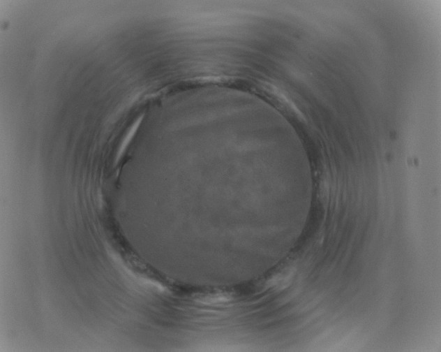 X0000076430643200610202246