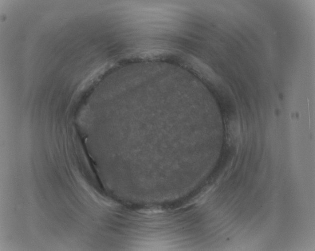 X0000076430644200610202246