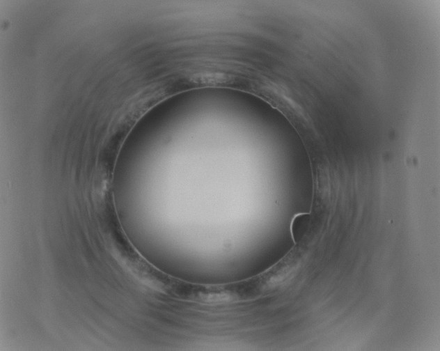 X0000076430645200610202246