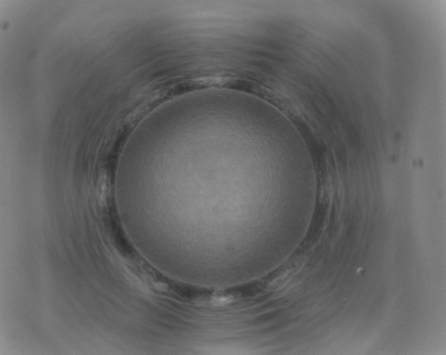 X0000076430647200610202246