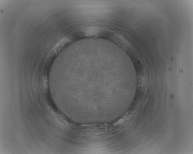 X0000076430648200610202246