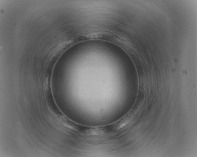 X0000076430652200610202246