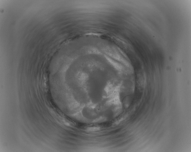 X0000076430653200610202246