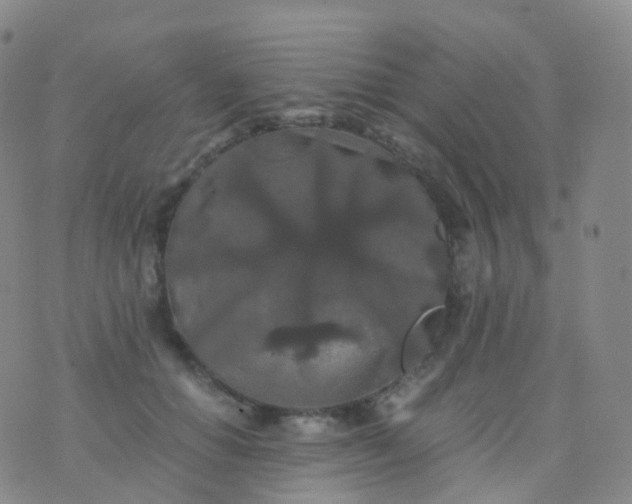 X0000076430654200610202246