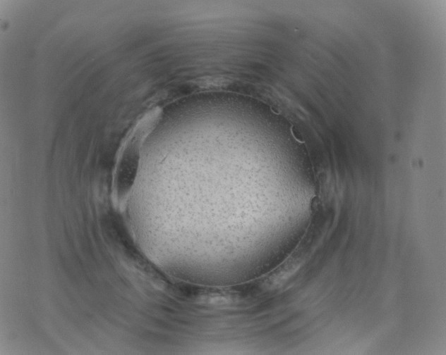 X0000076430655200610202246