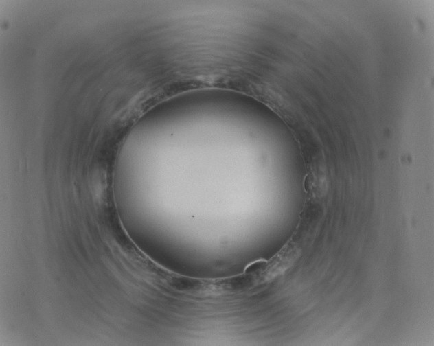 X0000076430656200610202246