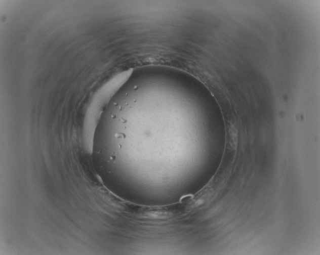 X0000076430657200610202246