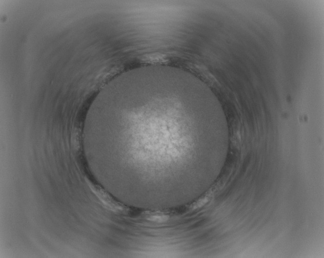 X0000076430658200610202246