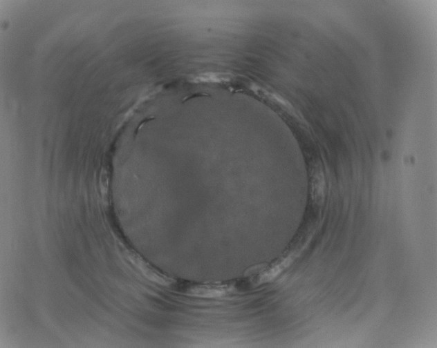 X0000076430661200610202246