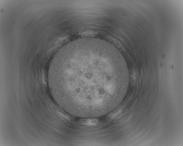 X0000076430663200610202246