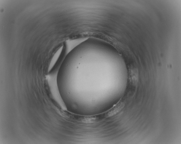 X0000076430664200610202246