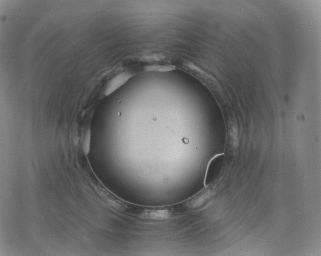 X0000076430665200610202246