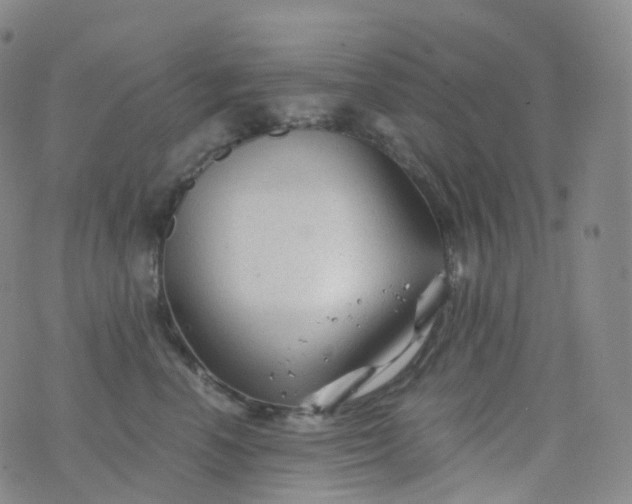 X0000076430666200610202246