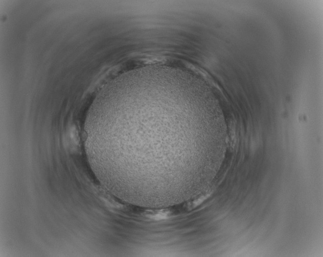 X0000076430667200610202246