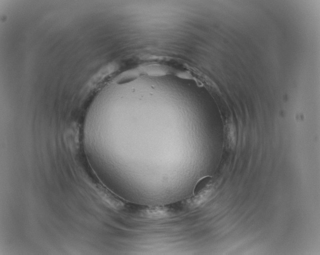 X0000076430668200610202246