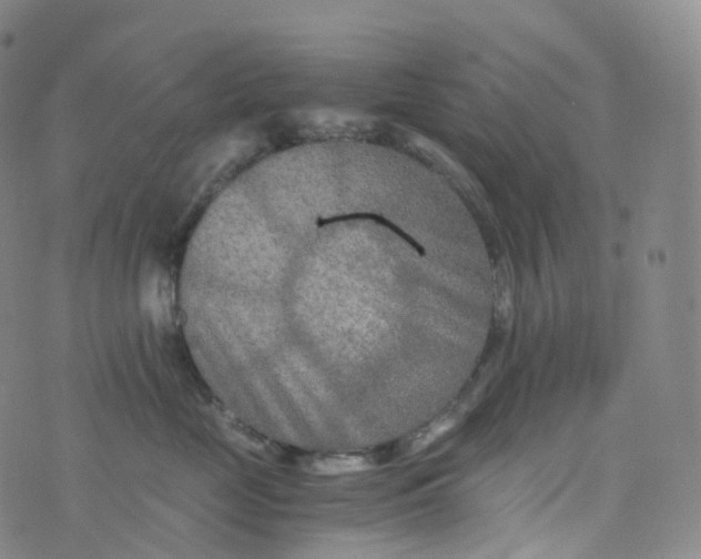 X0000076430669200610202246