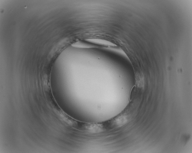 X0000076430670200610202246