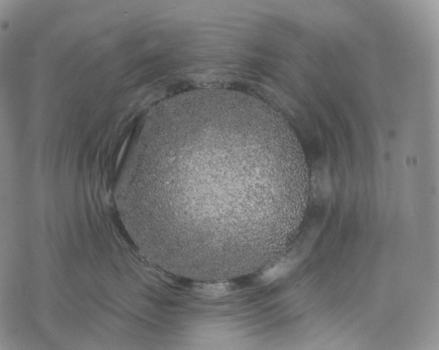 X0000076430671200610202246