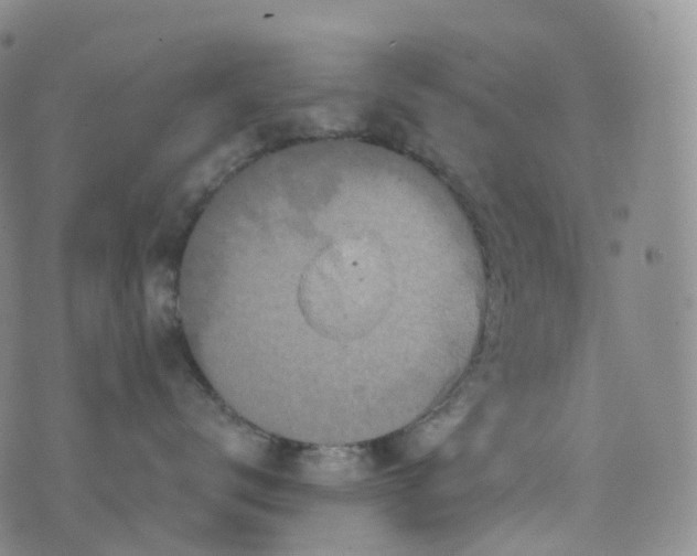 X0000076430672200610202246