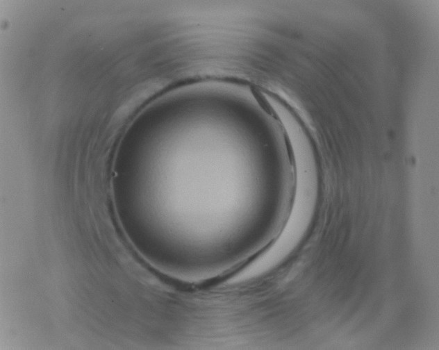 X0000076430673200610202245