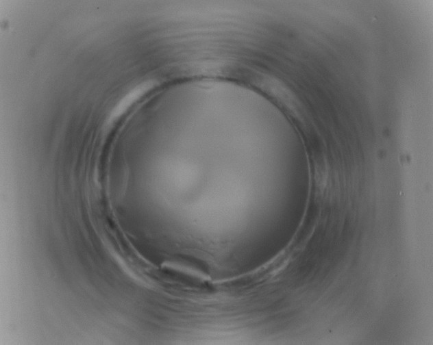 X0000076430674200610202245