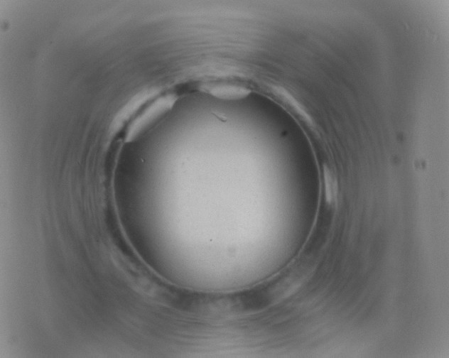 X0000076430675200610202245