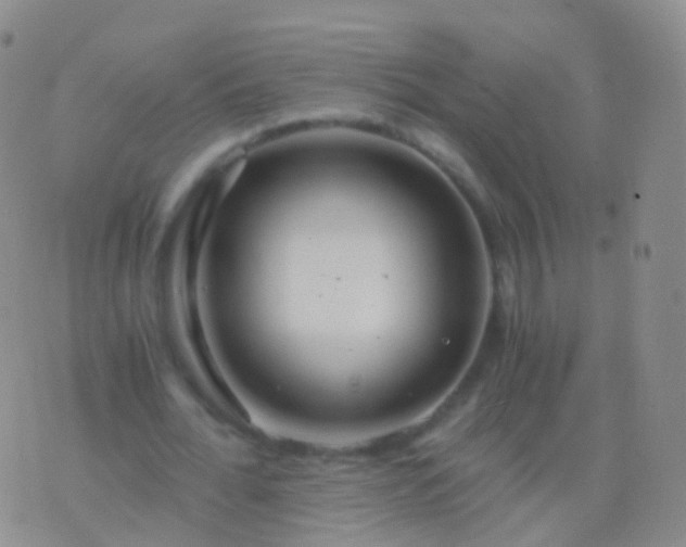 X0000076430676200610202245