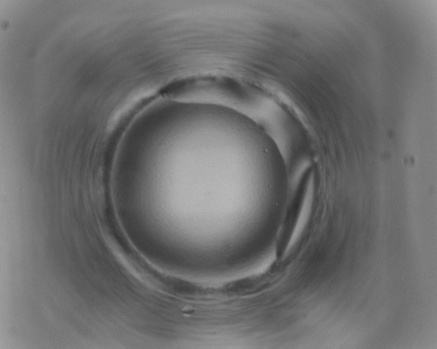 X0000076430677200610202245