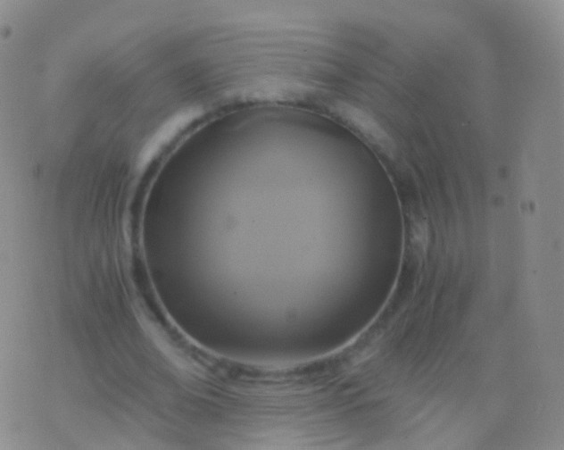 X0000076430678200610202245