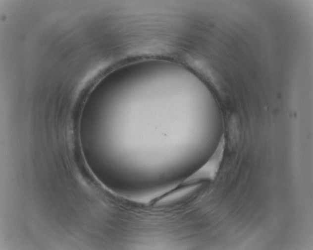 X0000076430680200610202245