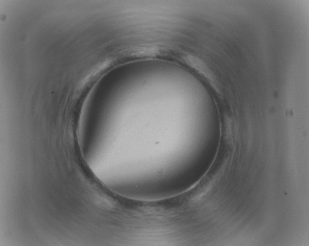 X0000076430681200610202245