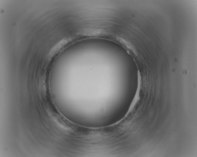 X0000076430682200610202245