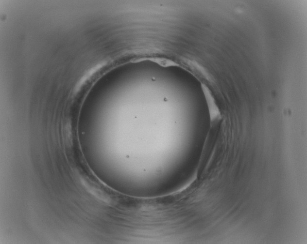 X0000076430684200610202245