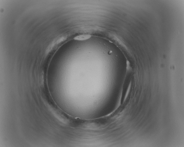 X0000076430685200610202245