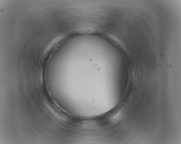 X0000076430686200610202245