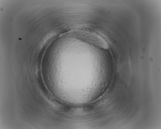 X0000076430687200610202245