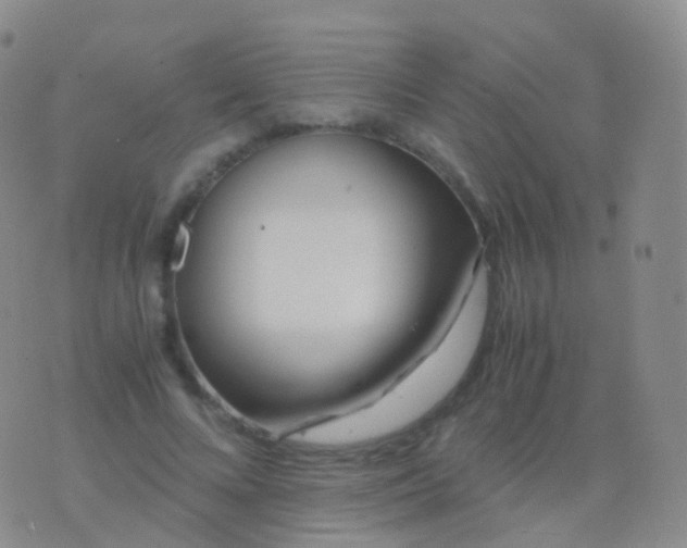 X0000076430688200610202245