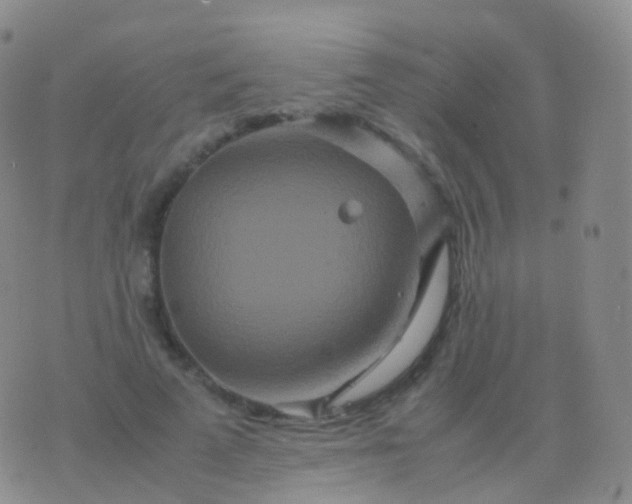 X0000076430689200610202245