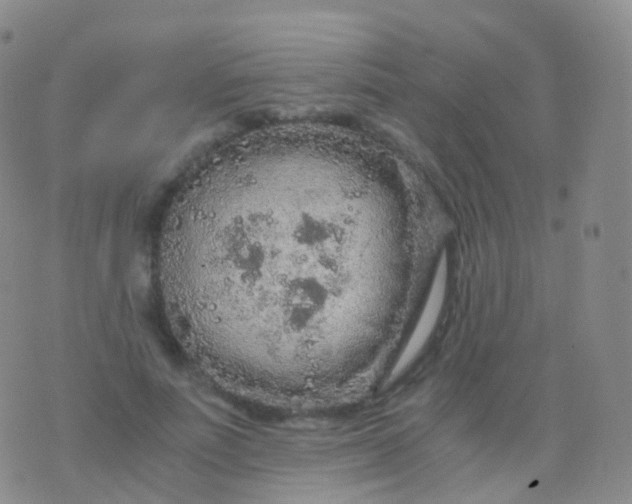 X0000076430691200610202245